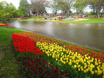 IMG_3632f.JPG