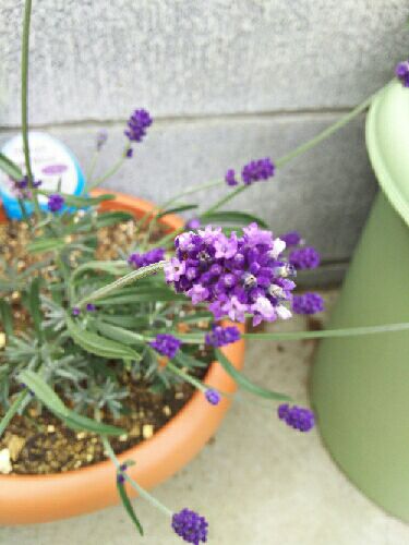 rblog-20160427151921-01.jpg