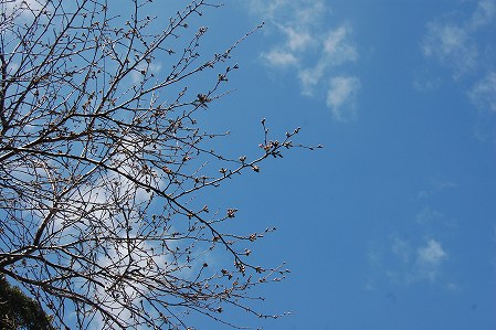 s-DSC_0852.jpg