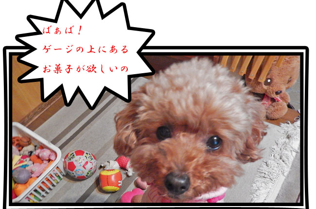 こころ11