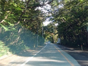 那須81.jpg