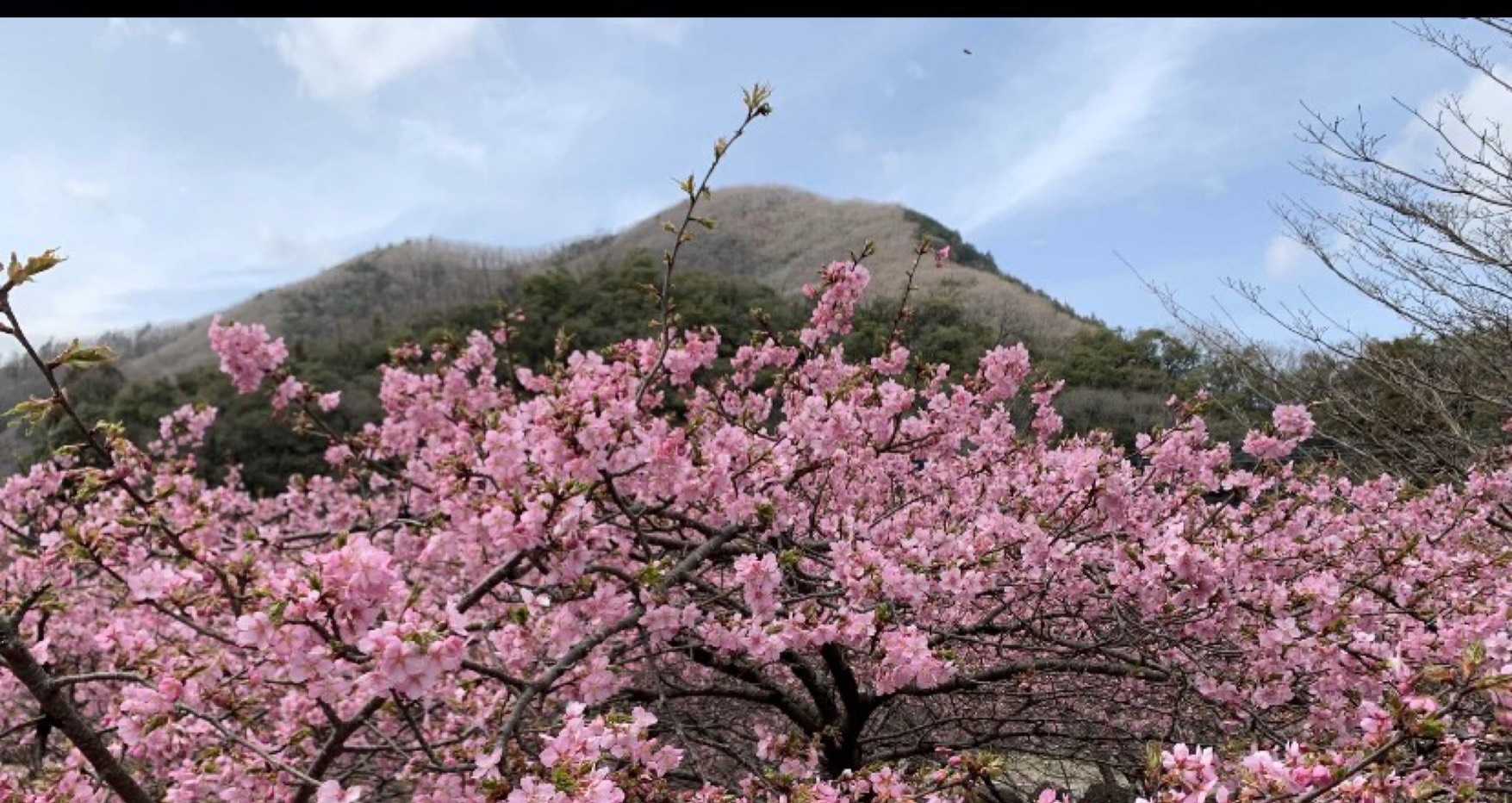 醍醐山と下部（しもべ）温泉