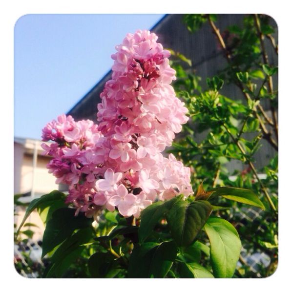 rblog-20140415235549-00.jpg
