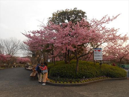 なばなの里