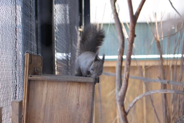 rblog-20170104153041-05.jpg