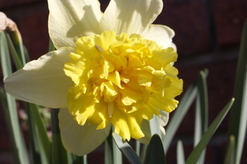20160414006.JPG