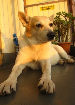 IMG_2589_1.JPG