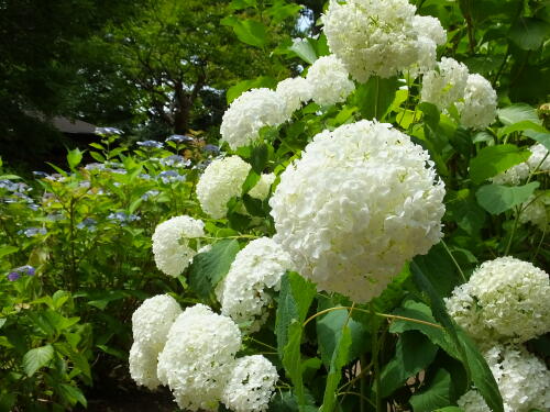 多摩川台公園にて