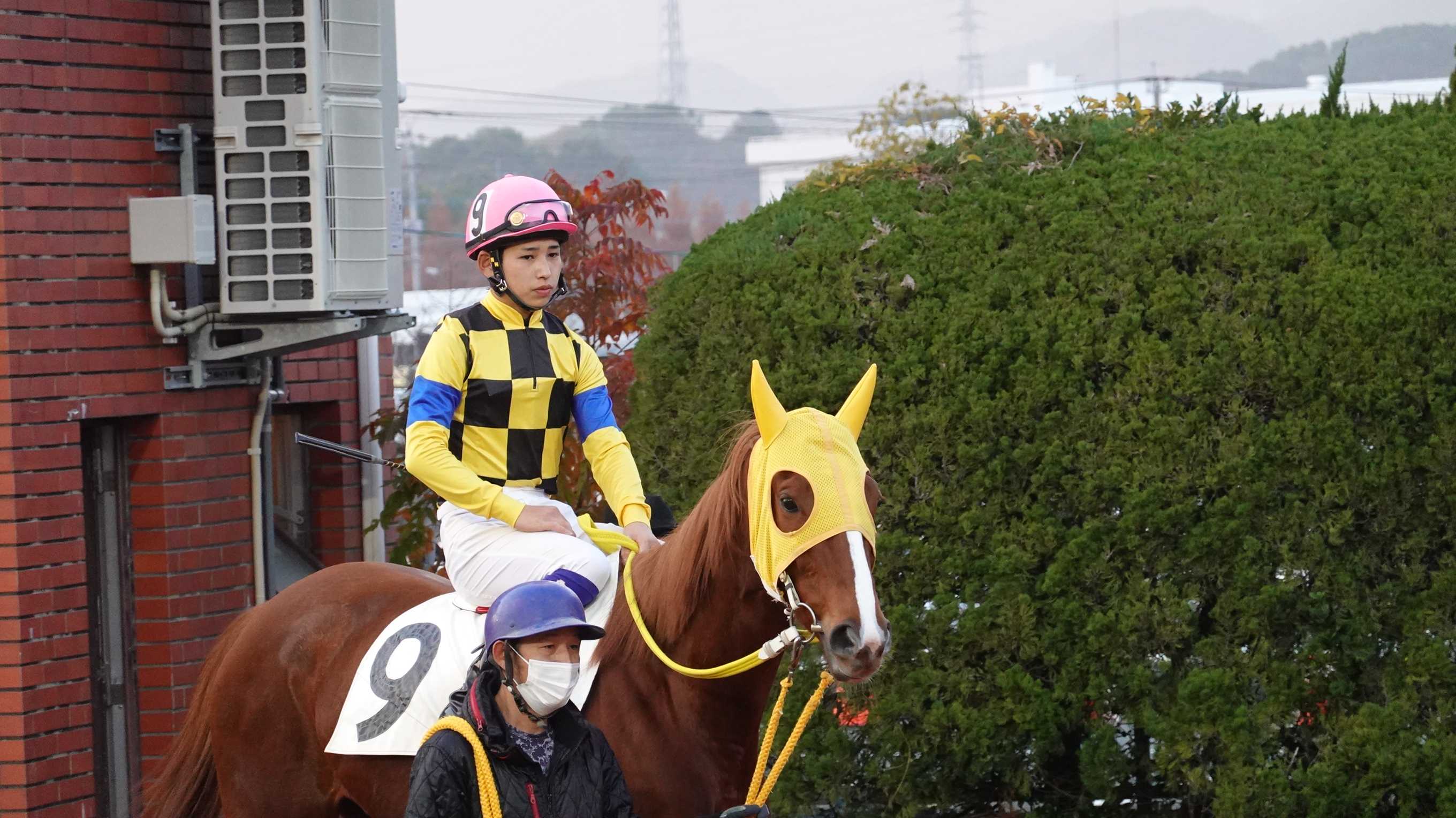 19ページ目の記事一覧 地方競馬の楽天競馬 日替わりライターブログ 楽天ブログ