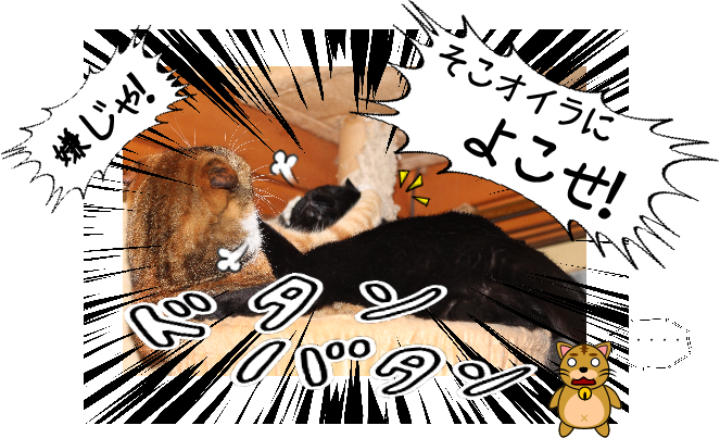 IMG_0502.png