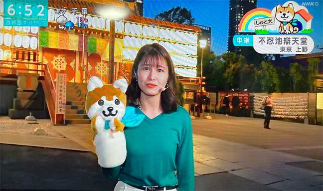 NHKの天気予報でおなじみしゅと犬くんです NHKの天気予報でおなじみしゅと犬くんです ど～でもいい話です