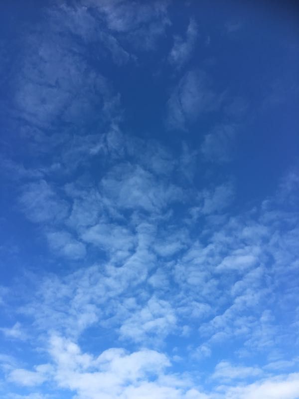 rblog-20180818192051-05.jpg