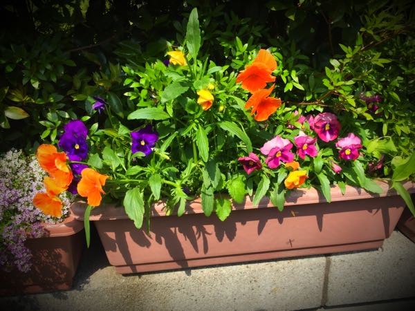 rblog-20160430181329-01.jpg