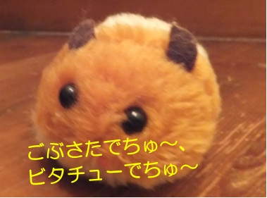 20121114_2.jpg