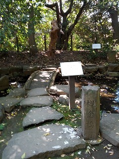 概念橋.jpg