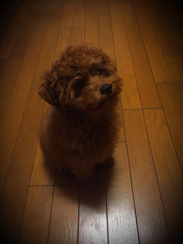 rblog-20151229195849-01.jpg