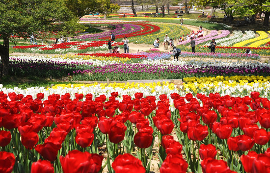 花２
