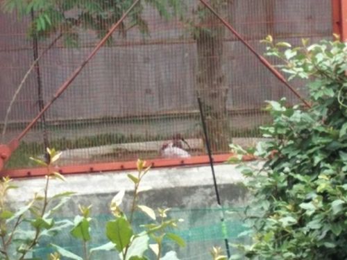rblog-20180623212815-03.jpg