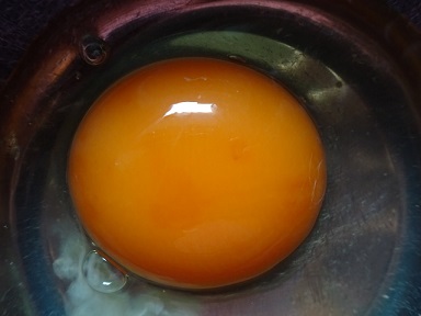 楕円卵
