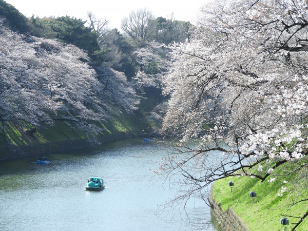 千鳥ヶ淵緑道