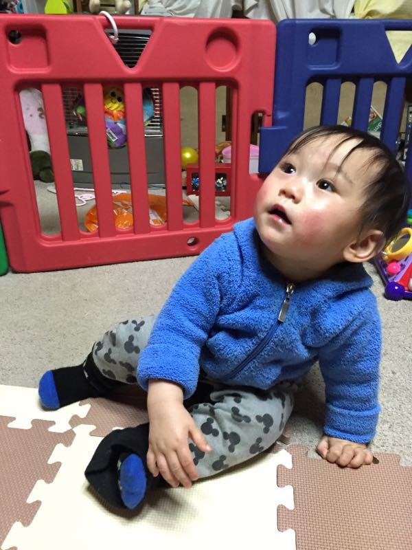 rblog-20150311212437-01.jpg
