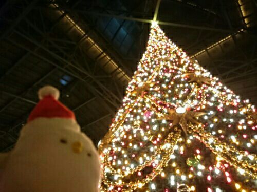 rblog-20161202205849-01.jpg