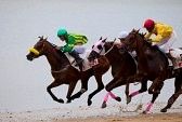 ビクトリアマイル（GⅠ）予想 | 株と競馬と時々・・・ - 楽天 ...