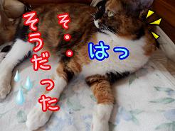 そうだった.JPG