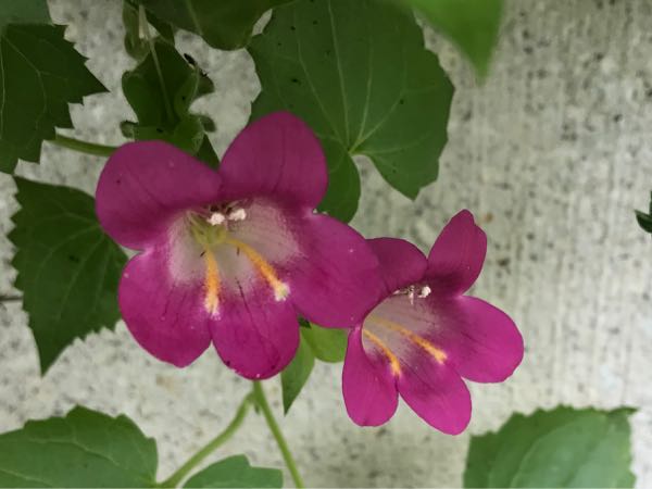 rblog-20180624180538-01.jpg