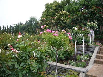 P1080442.JPG