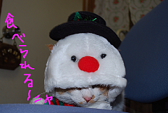 conv0306.JPG