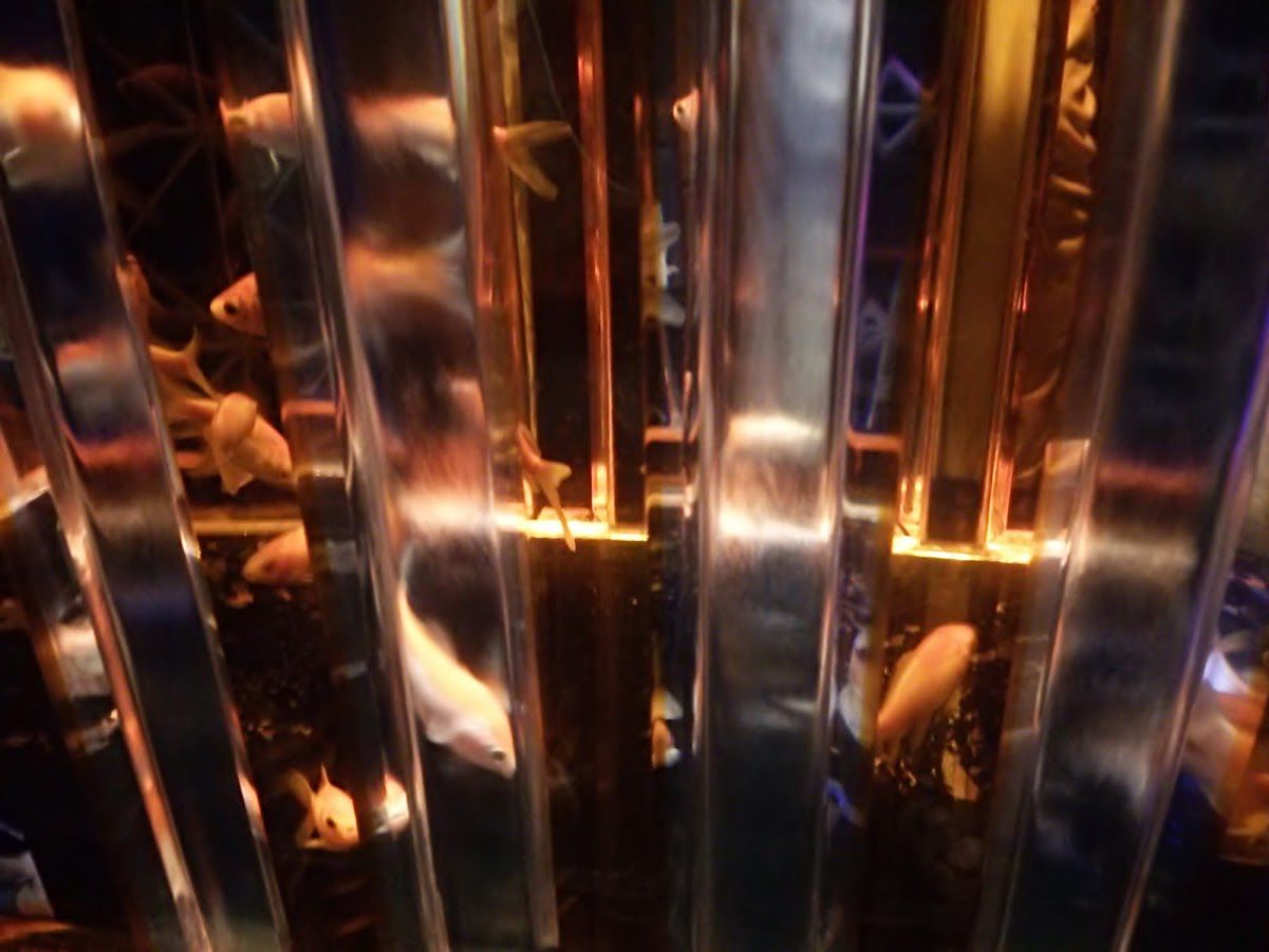 Eco Edo日本橋 アートアクアリウム17 ママチャリライフ 楽天ブログ