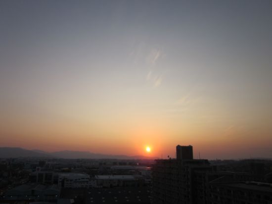 IMG_8011.JPG