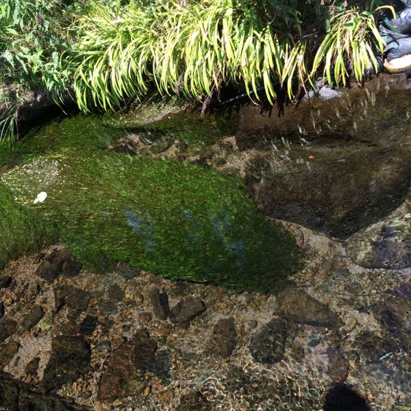 rblog-20160812061749-02.jpg