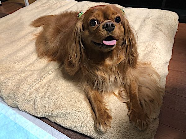 rblog-20180127212443-04.jpg