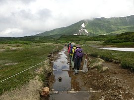 山道の雪解け水.JPG