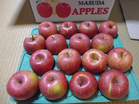 P1020136.JPG