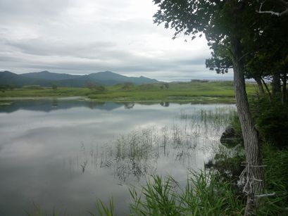 P1100040.JPG