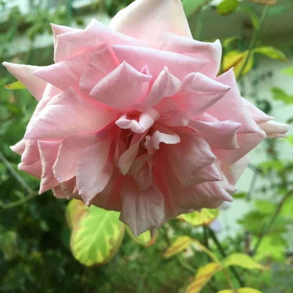 rblog-20160909235957-04.jpg