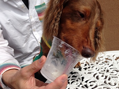 2015-06-20 13.40.50.jpg