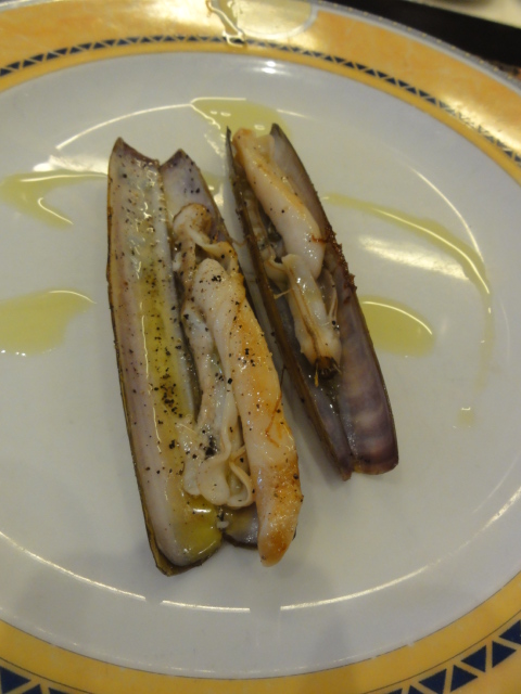 DSC09846.JPG