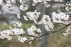 2015040411.jpg