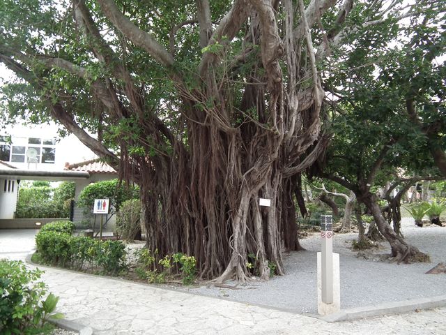DSCF8973.JPG