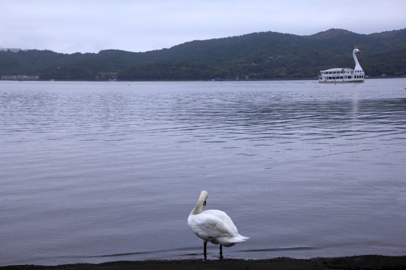 山中湖_009スワンとスワン号.jpg