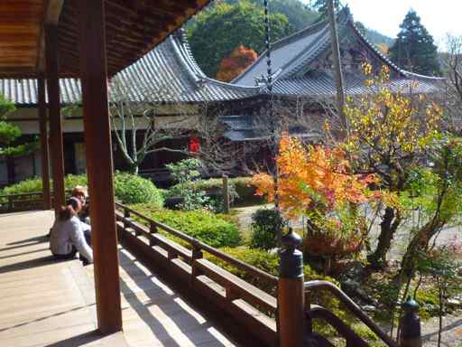 SL_kyoto_P1040142.jpg