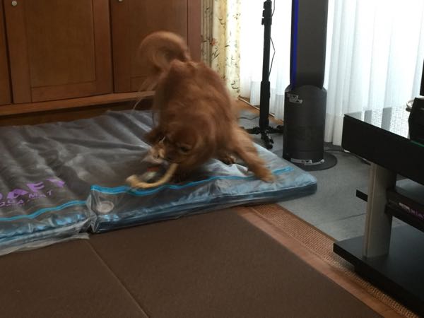 rblog-20160808181307-03.jpg