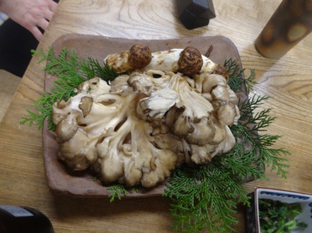 DSC02889.jpg