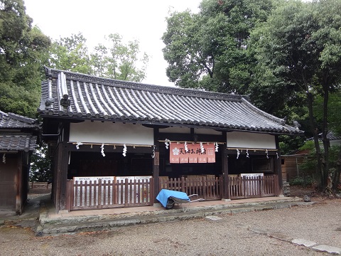 DSC09088.JPG