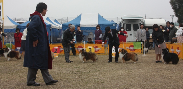 IMG_0846 - コピー.JPG