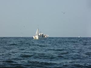 DSC03005.JPG